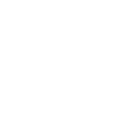Bug Fix