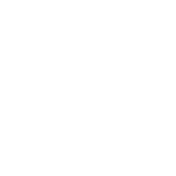 Bug Fix