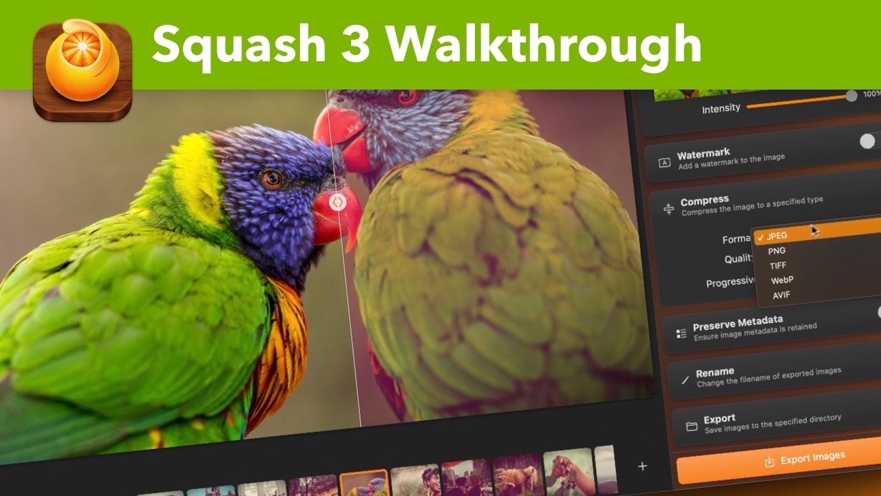 Squash Walkthrough YouTube Video